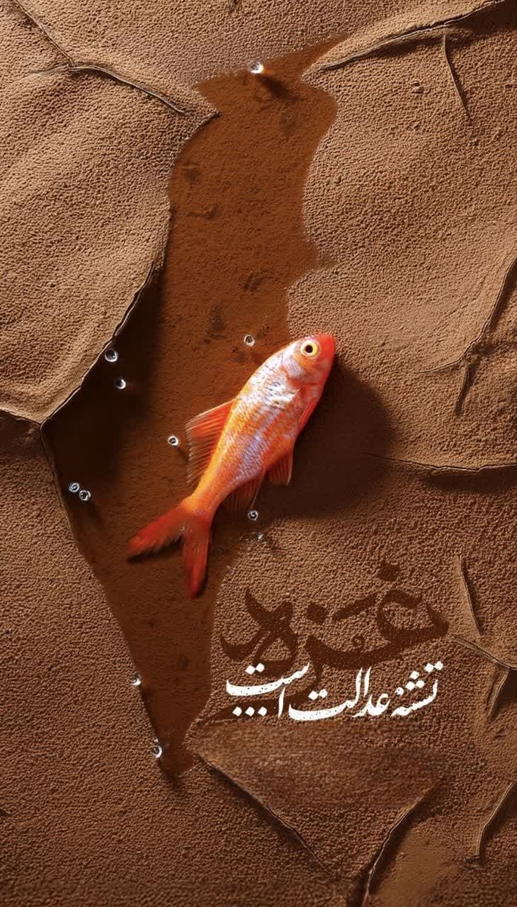 غزه تشنه عدالت است