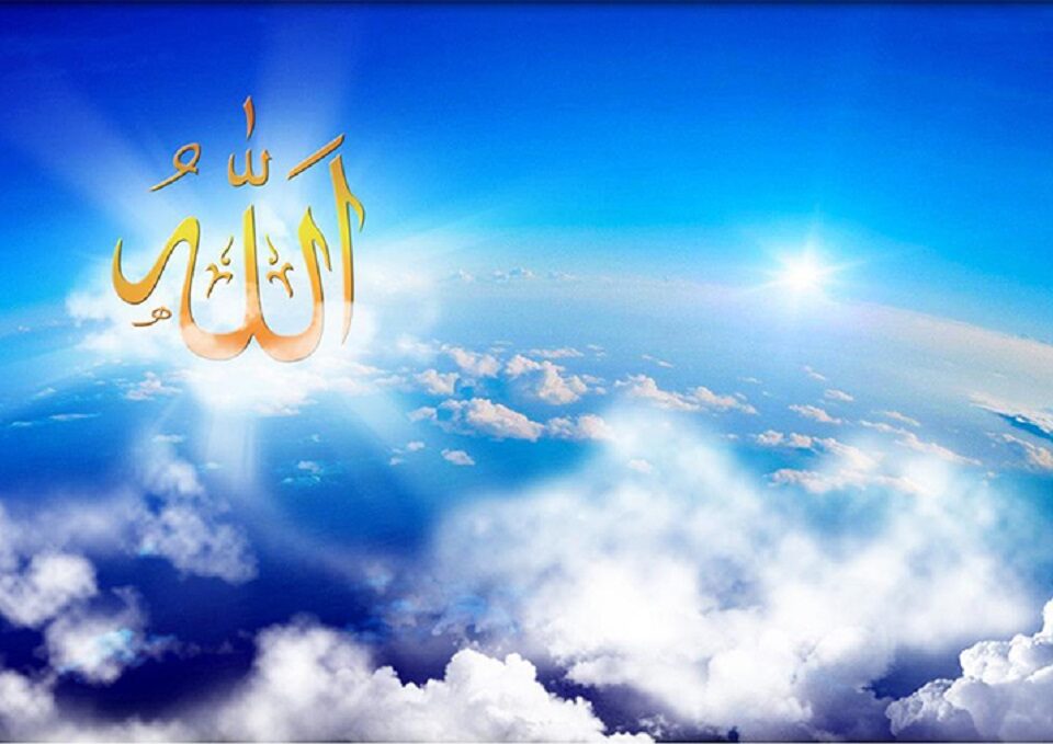 شاکر علیم بودن خدا به چه معناست؟