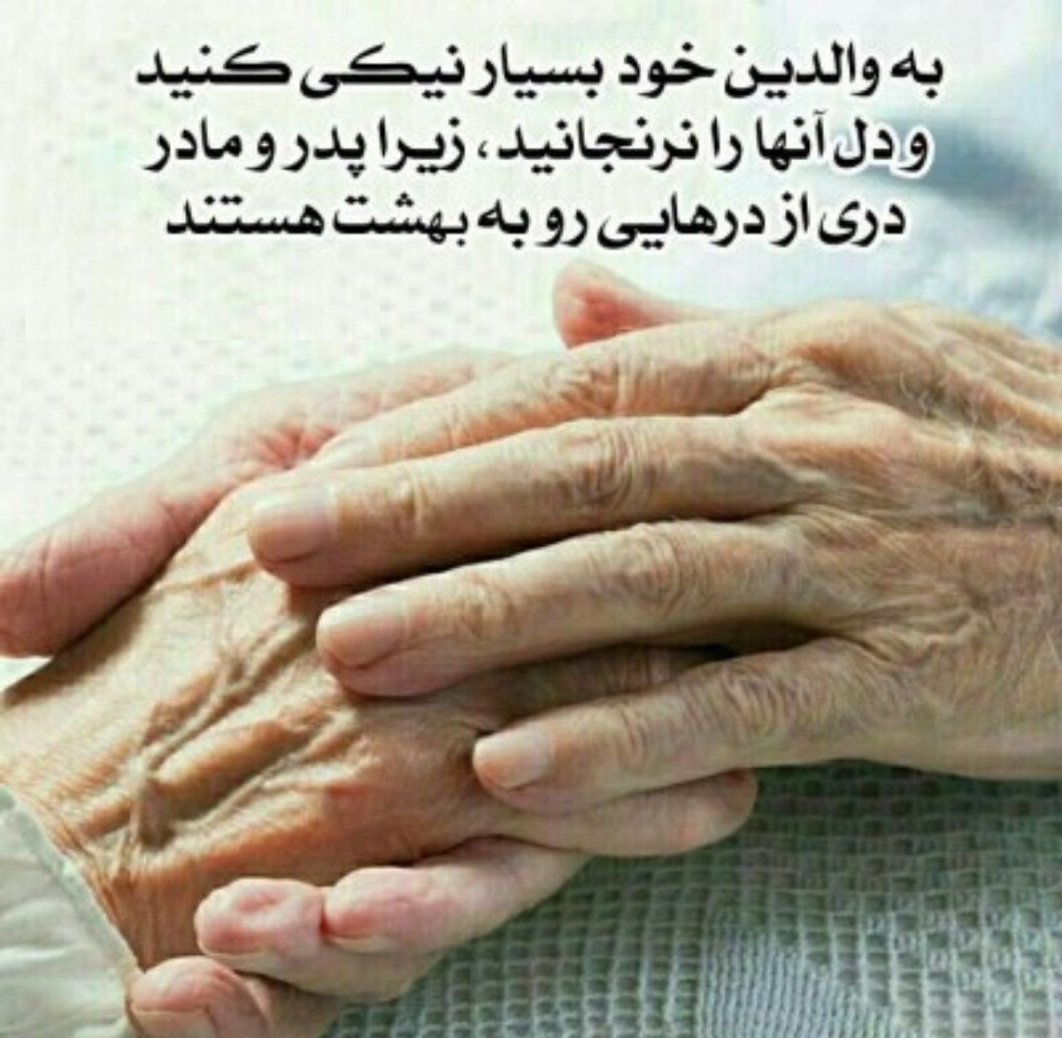 حقوق والدین