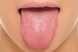 نقش زبان در زندگى انسان چيست؟